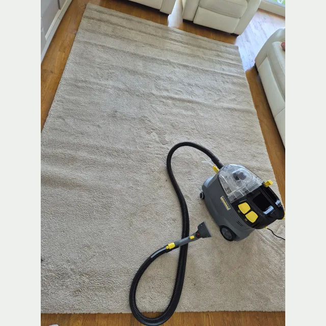 Nettoyage de tapis sur place