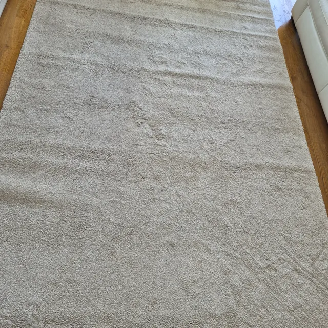 Tapis de salon